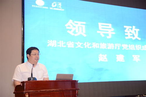 数字浪潮奔涌荆楚 湖北首届数字文化创意产业创新与发展高峰论坛在汉启幕